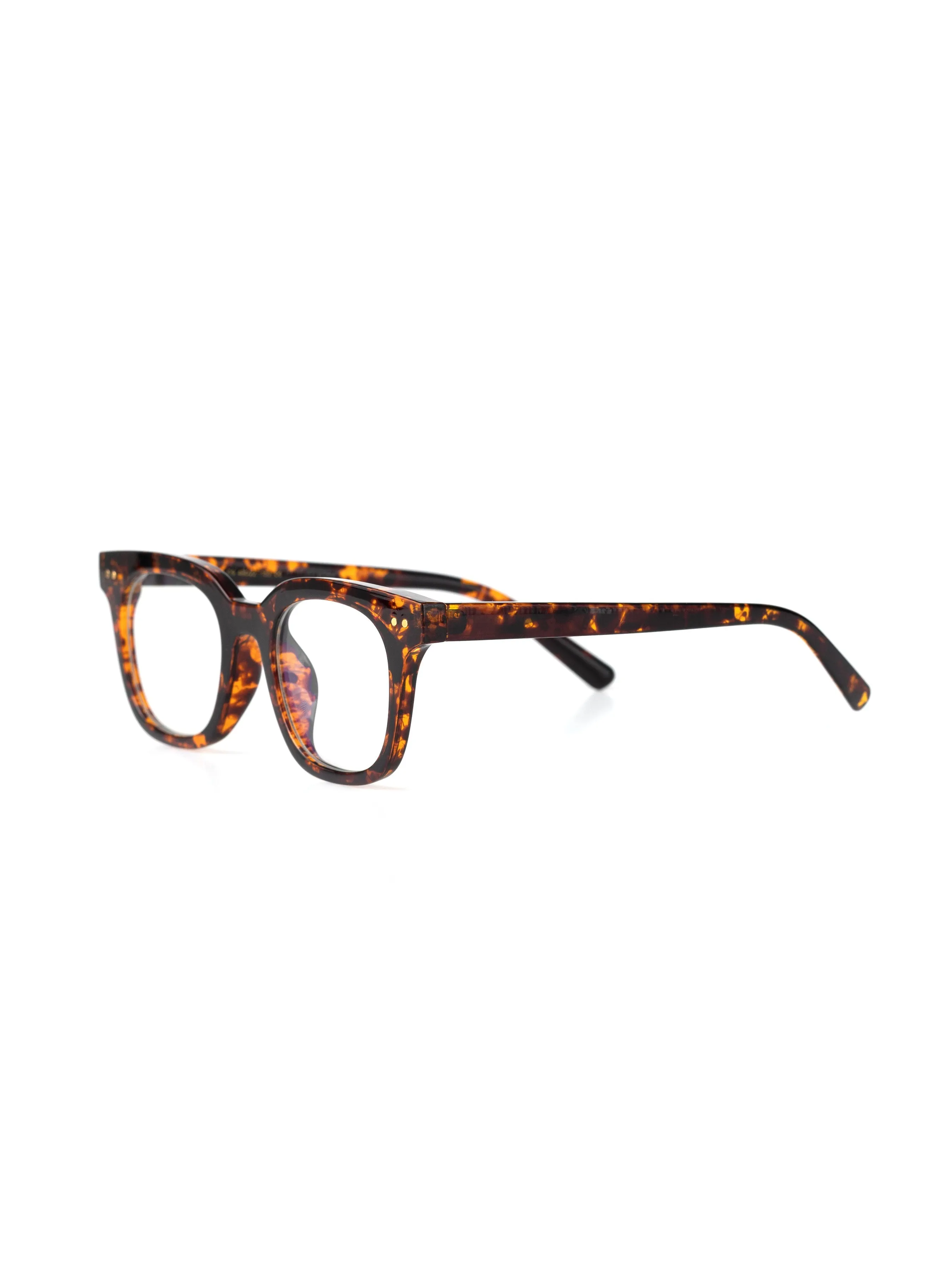 Goliath Acetate Glasses