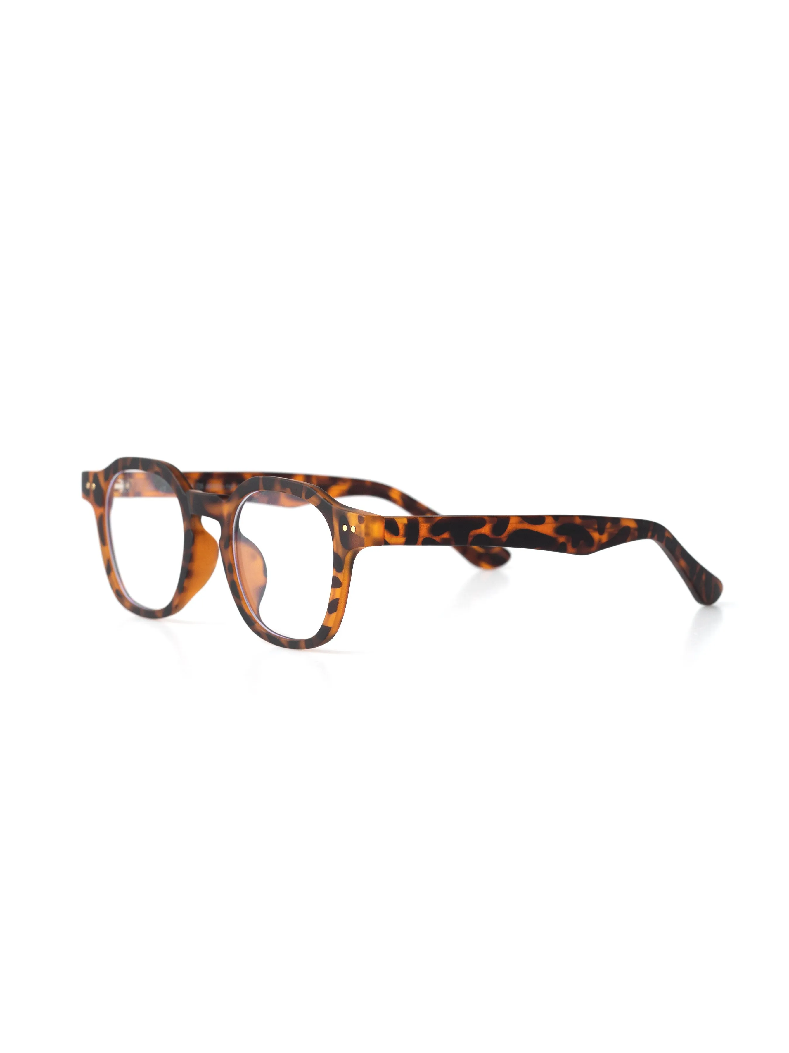 Raphael Acetate Glasses